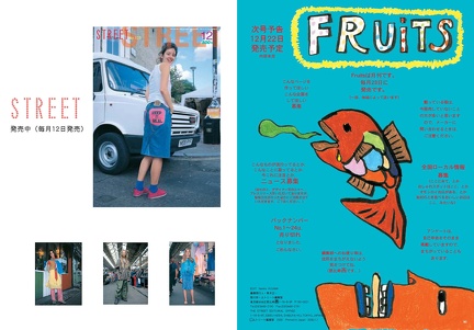 Fruits Issue 30 Page 42