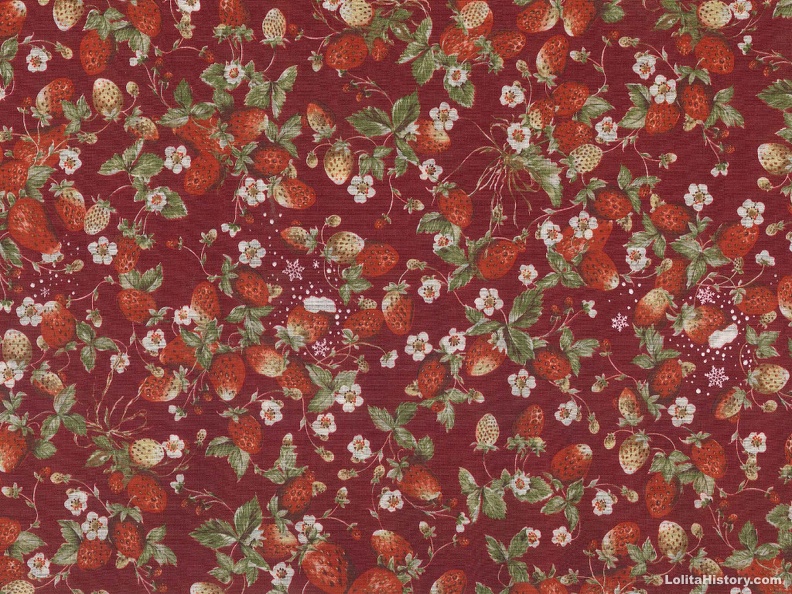 2012-winter-snow-berry - 2012-winter-snow-berry.jpg 2012-winter-snow-berry.jpg