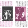 Fruits Issue 3 Page 22