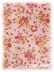 baby jsk littlecatribbon add9