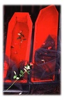 vm coffin coffin color