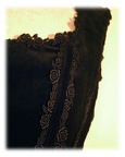 vm corset velveteenrose add