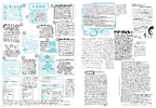 Fruits Issue 16 Page 21