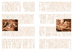 Fruits Issue 21 Page 21
