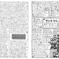 Fruits Issue 24 Page 24
