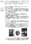 Essay