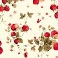 2012-The 30th Anniversary - Strawberry
