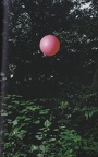 IMG 20210123 0026