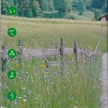 IMG 20230525 0023